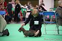 Crufts2011_2 716